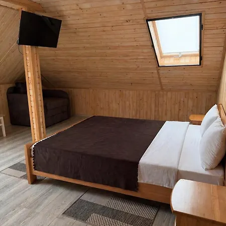 Hotelvizit 3* Solotvyno