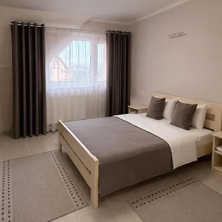Hotel Hotelvizit Solotvyno
